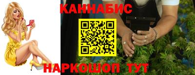 шишки Будённовск