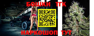 шишки Будённовск