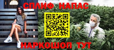 шишки Будённовск