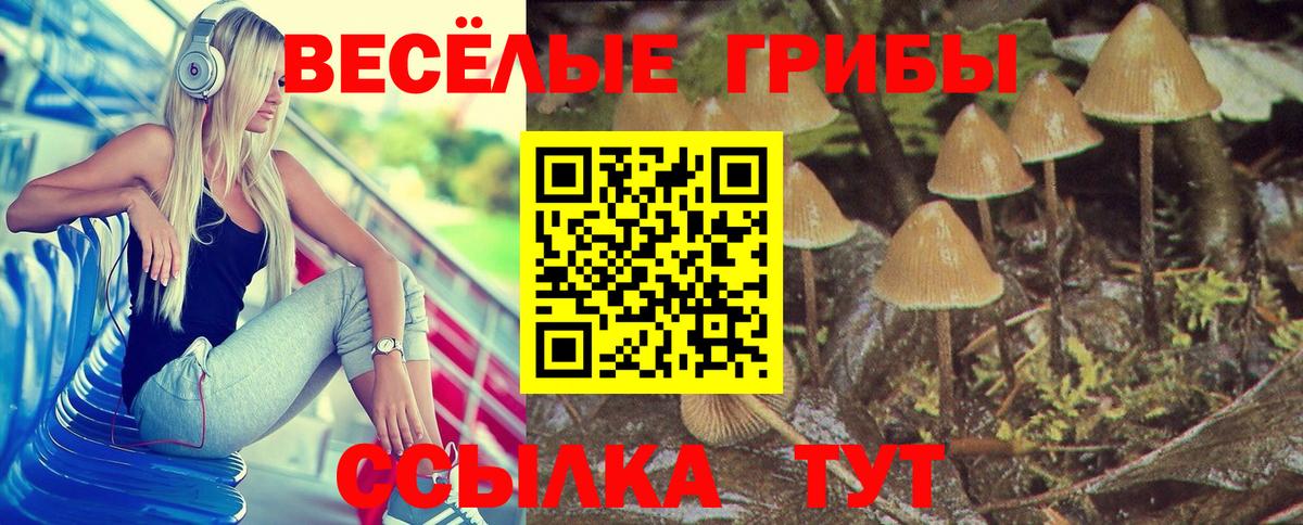 Галлюциногенные грибы GOLDEN TEACHER  Вход с VPN  Первоуральск 